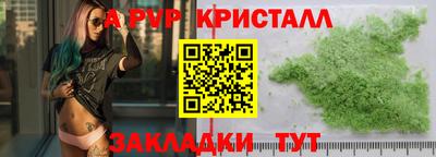 индика Нальчик