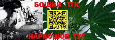 индика Нальчик