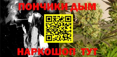 индика Нальчик