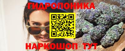 индика Нальчик