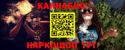 индика Нальчик
