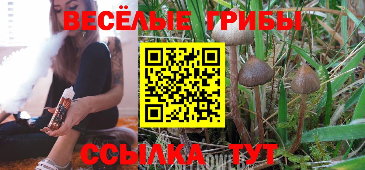 Галлюциногенные грибы мицелий Соль-Илецк