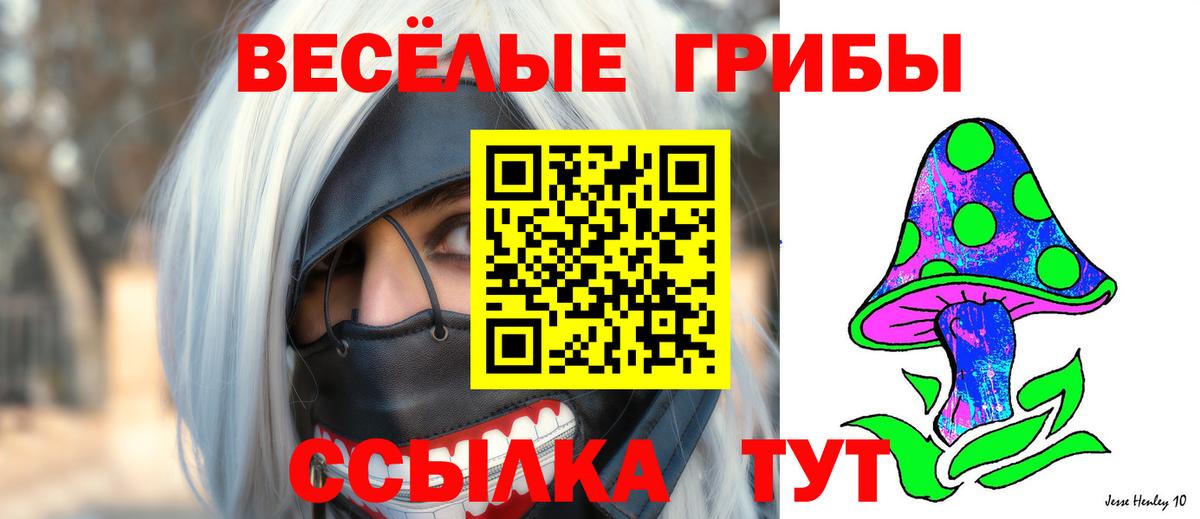 Галлюциногенные грибы прущие грибы  продажа наркотиков  Соль-Илецк  Вход с VPN 